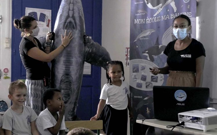  Mon école ma Baleine